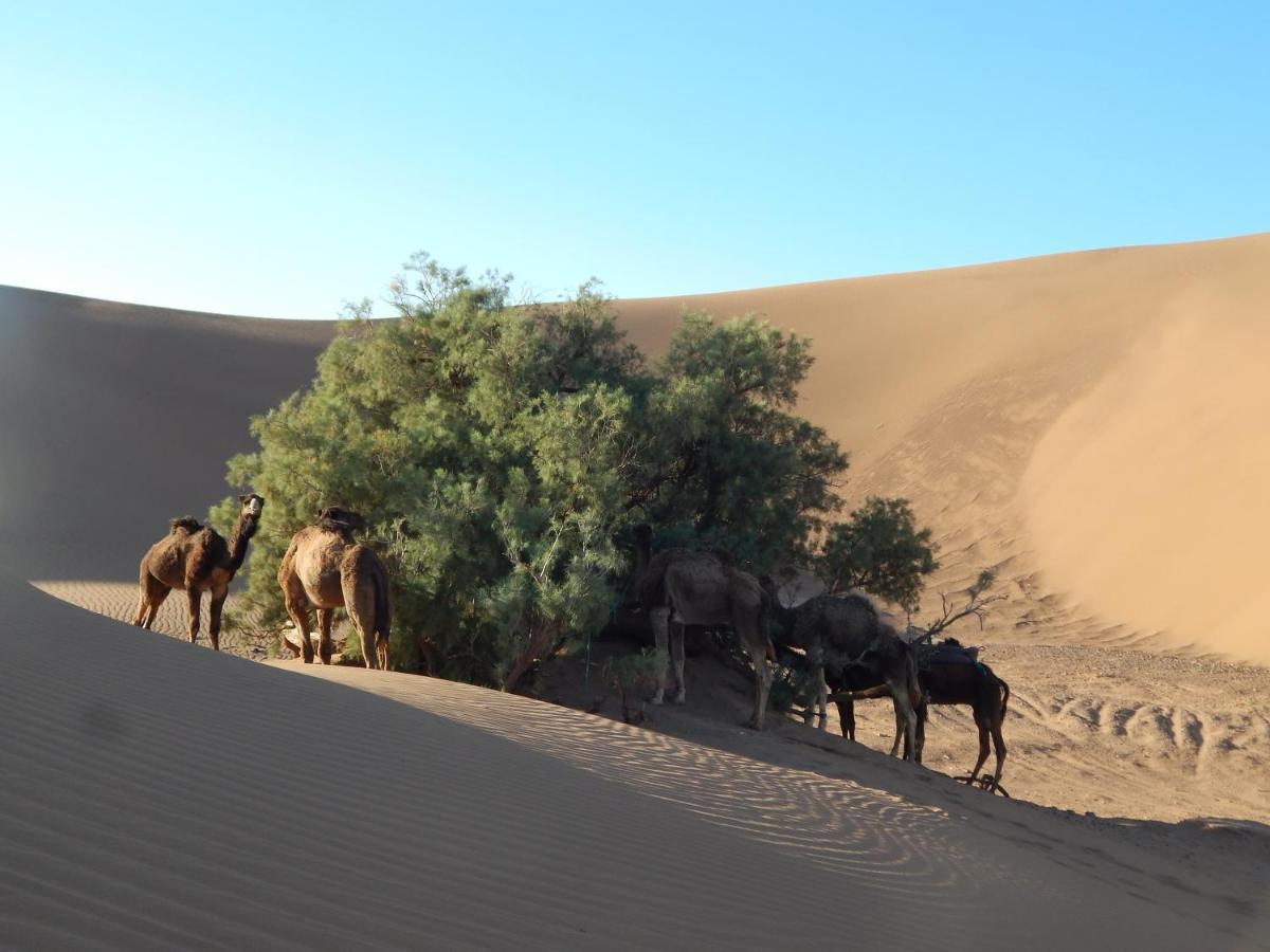 Kasbah du Bout du Monde Hotel Zagora Bagian luar foto