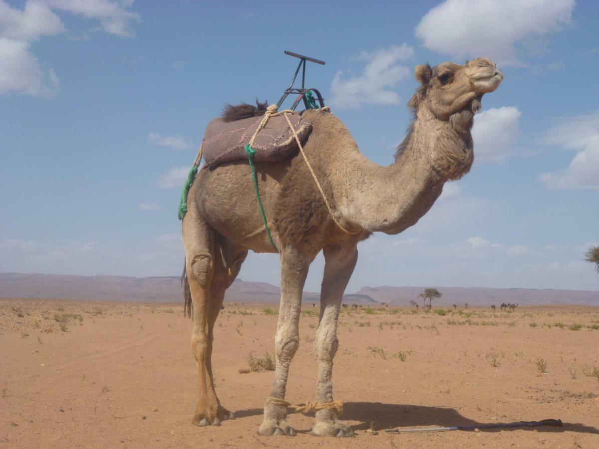 Kasbah du Bout du Monde Hotel Zagora Bagian luar foto