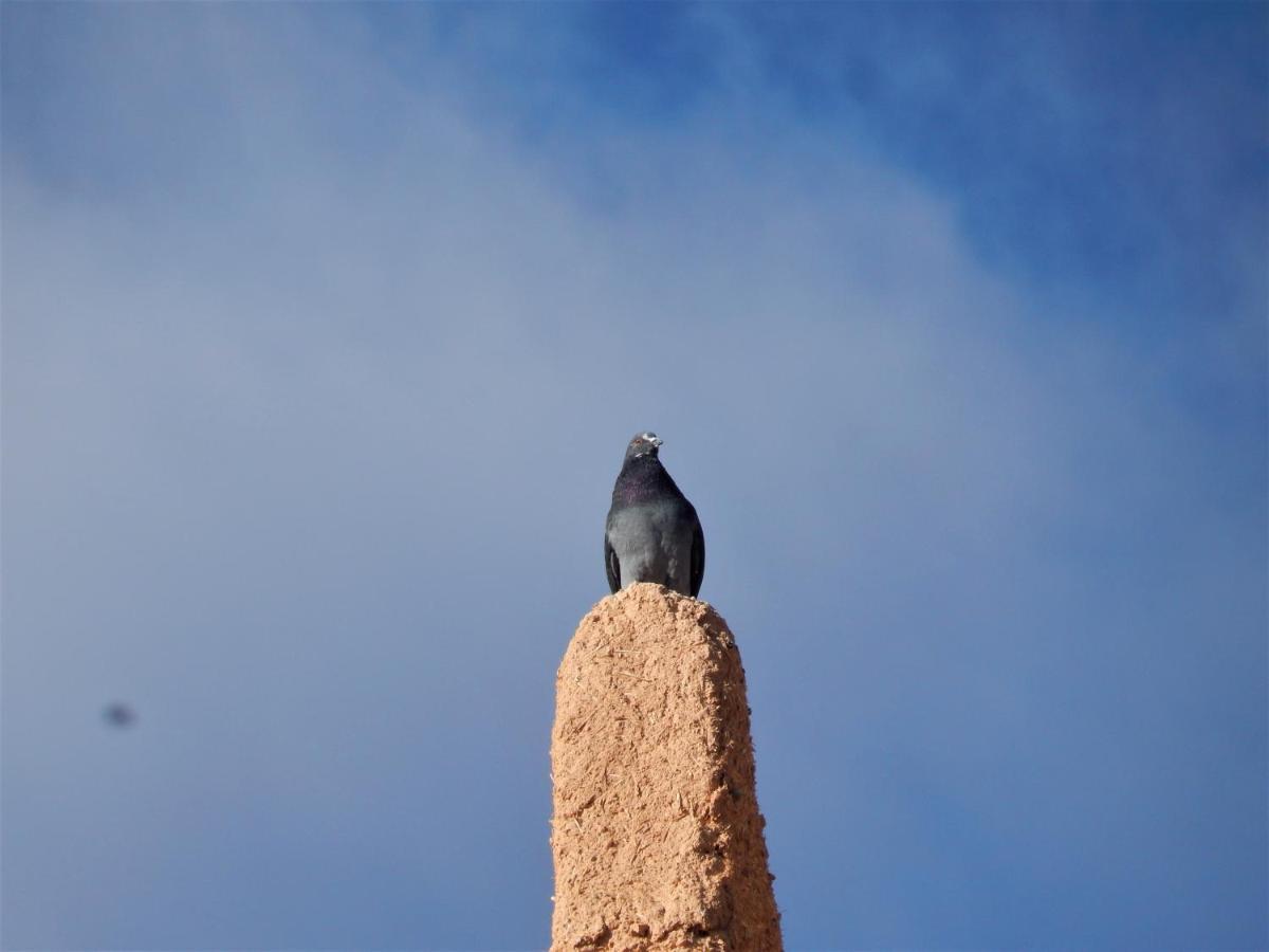 Kasbah du Bout du Monde Hotel Zagora Bagian luar foto